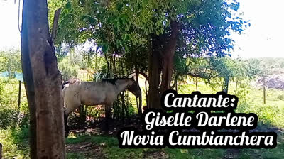 Novia Cumbianchera Siempre canta Giselle Romina Castillo Vargas